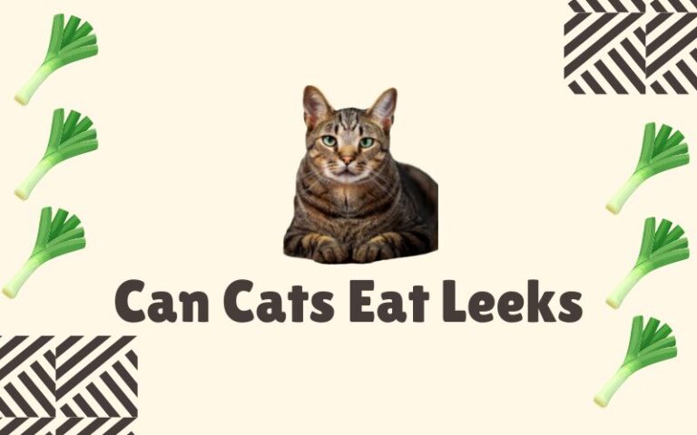 Can Cats Eat Leeks? Are Leeks Poisonous To Cats?