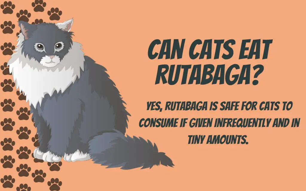 Can Cats Eat Rutabaga?