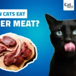Can Cats Eat Deer Meat?